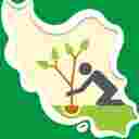 شرکت بازرگانی سبز ایران