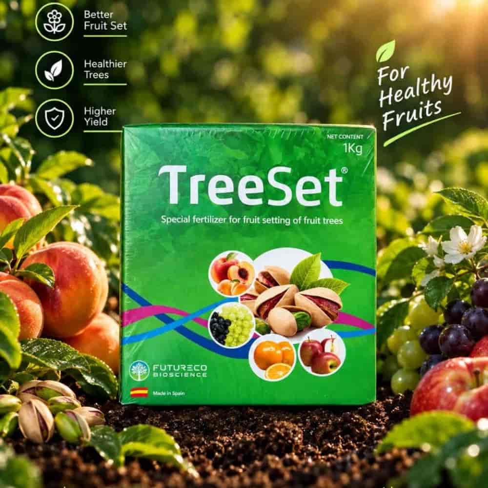 کود TreeSet