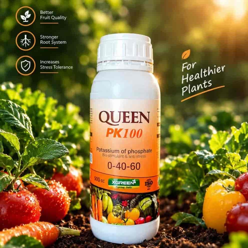 کود فسفر و پتاسیم کوئین